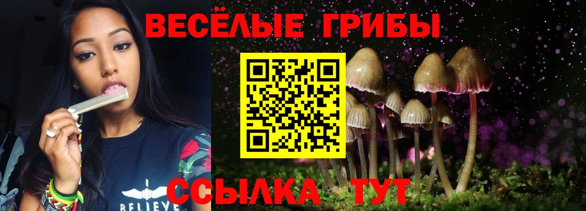 Псилоцибиновые грибы мухоморы Кизилюрт