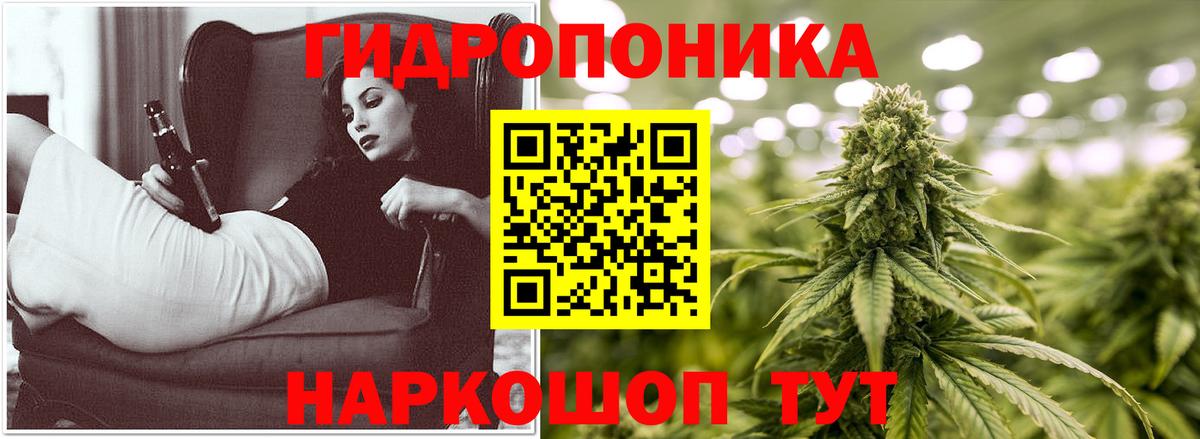 Конопля план  Бошки марихуана сатива  Конопля индика  Вход с VPN  Кизилюрт  Шишки марихуана тримм 
